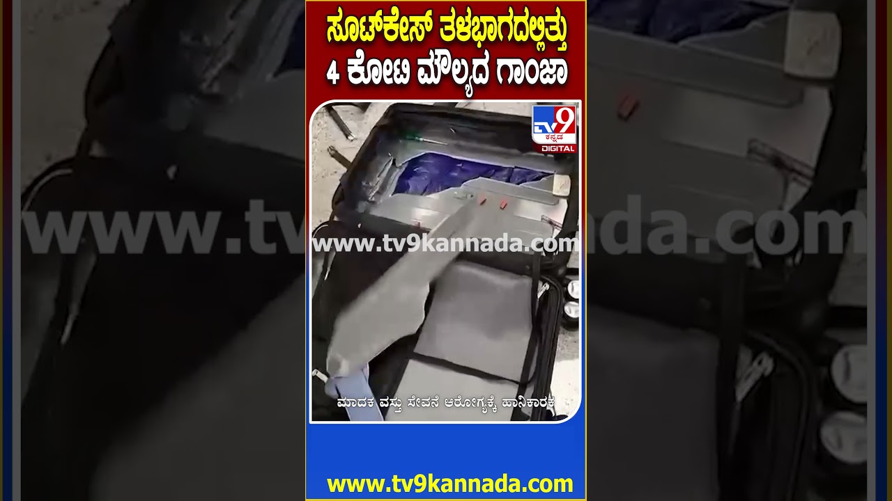 Hydroponic cannabis seized at airport: ಬ್ಯಾಂಕಾಕ್&zwnj;ನಿಂದ ಹೈದ್ರಾಬಾದ್​ಗೆ ಬರ್ತಿತ್ತು ದುಬಾರಿ ಗಾಂಜಾ  | #TV9D