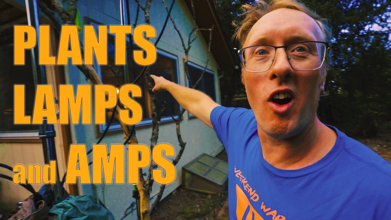 Растения, лампы и усилители || Закулисные съемки музыкального видео Better Dead