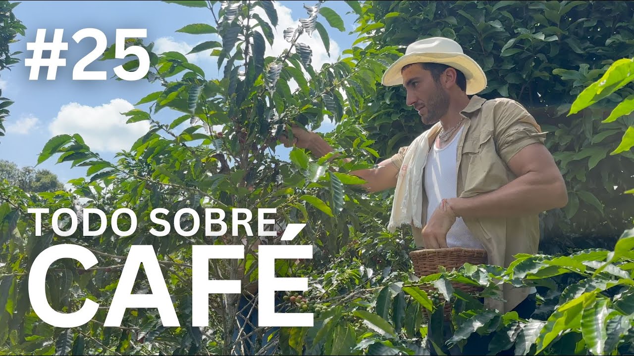 Todo sobre el CAFE en el EJE CAFETERO