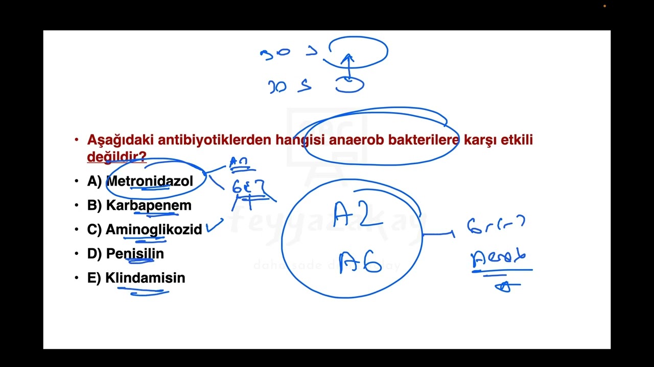 FA DUS MİKROBİYOLOJİ DENEME 5
