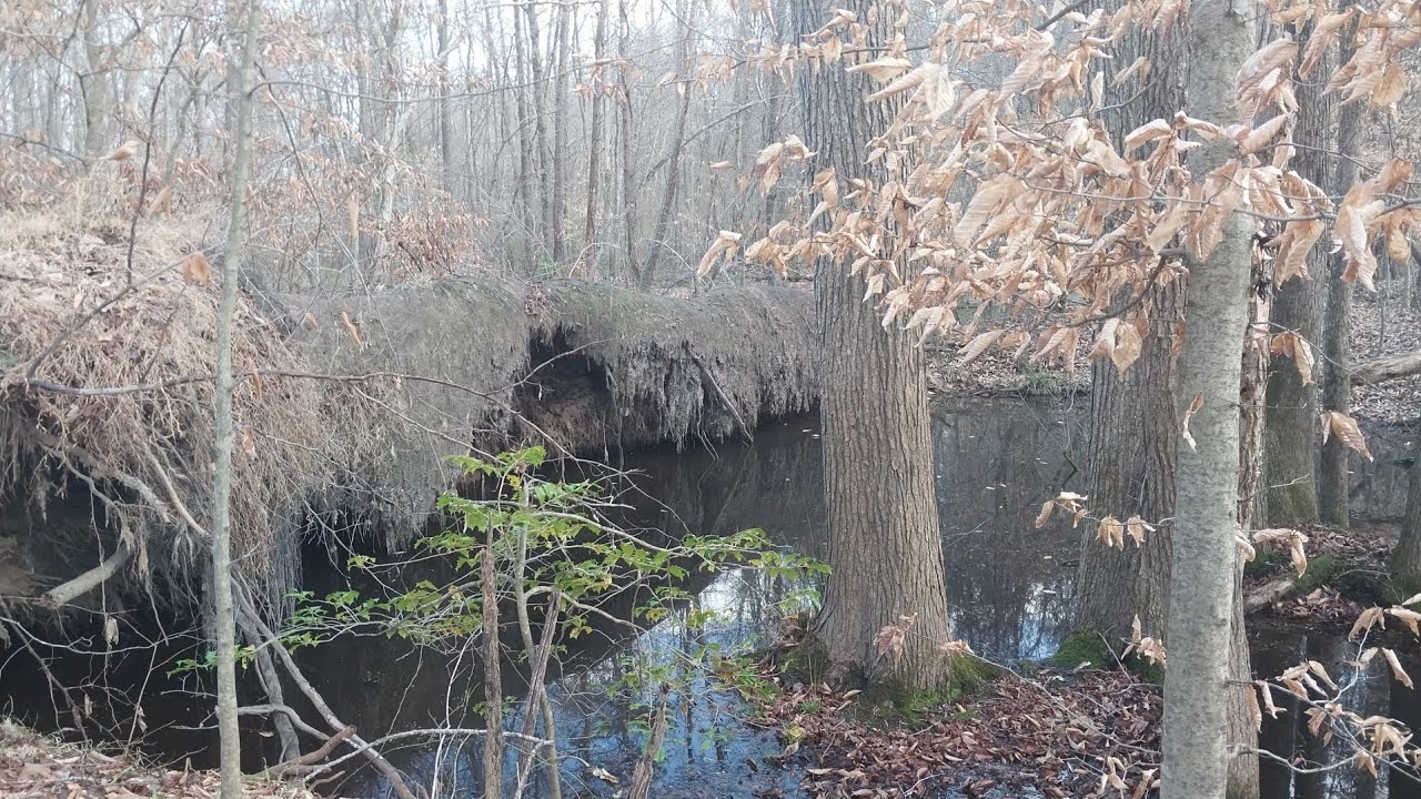 Thought they were after me