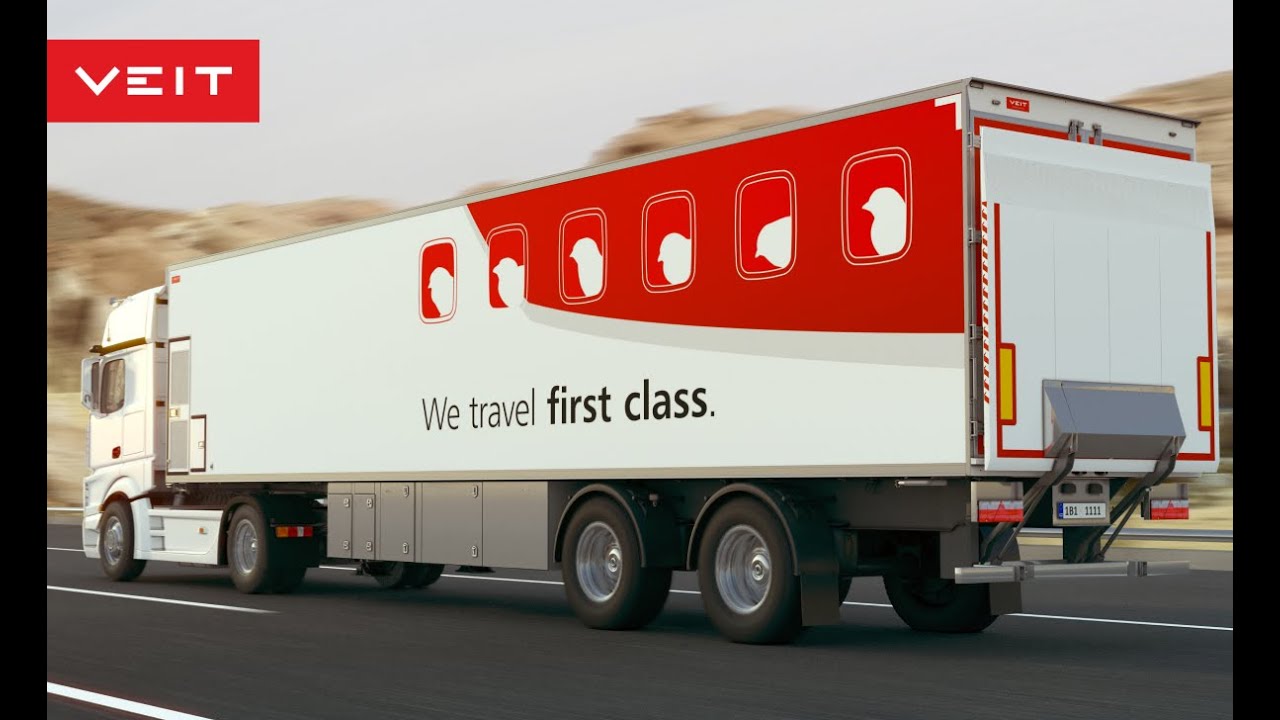 The safest chick transport. Ever.