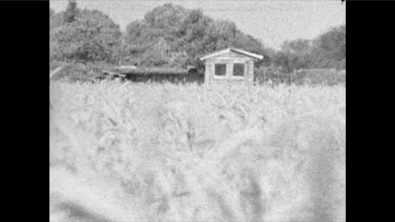 Kodak Tri-X 7266 (Super 8) - Caffenol C