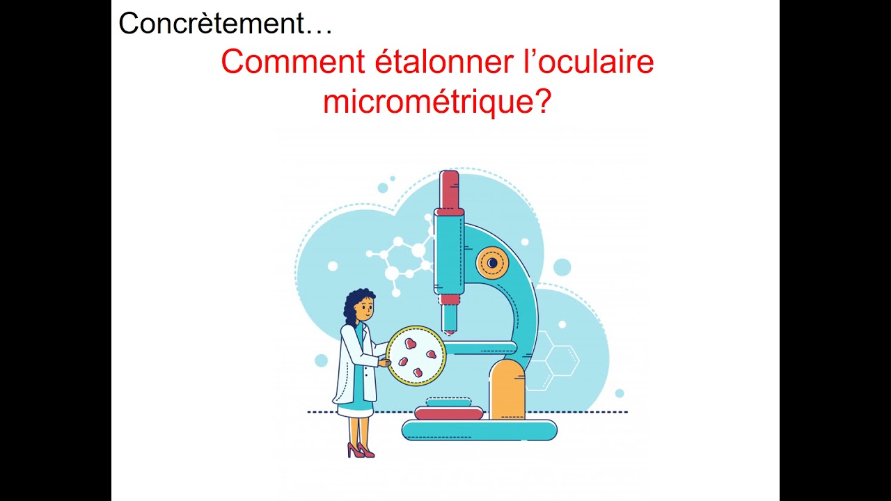 Mesurer une cellule au microscope optique (oculaire micrométrique)