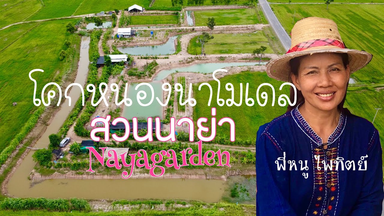 สวนนาย่า โคกหนองนาโมเดล แคนดง บุรีรัมย์ by นายโต้รุ่ง MrTORUNG ChilLax