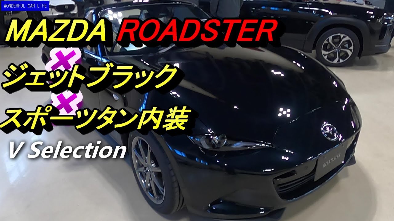 Модель ND Roadster V Selection 2024 года, интерьер и экстерьер, черный и спортивный коричневый (б...