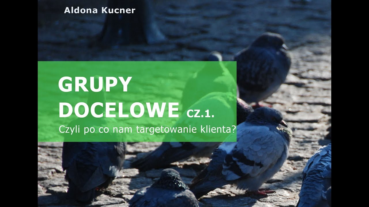 Grupy docelowe cz1 Aldona Kucner