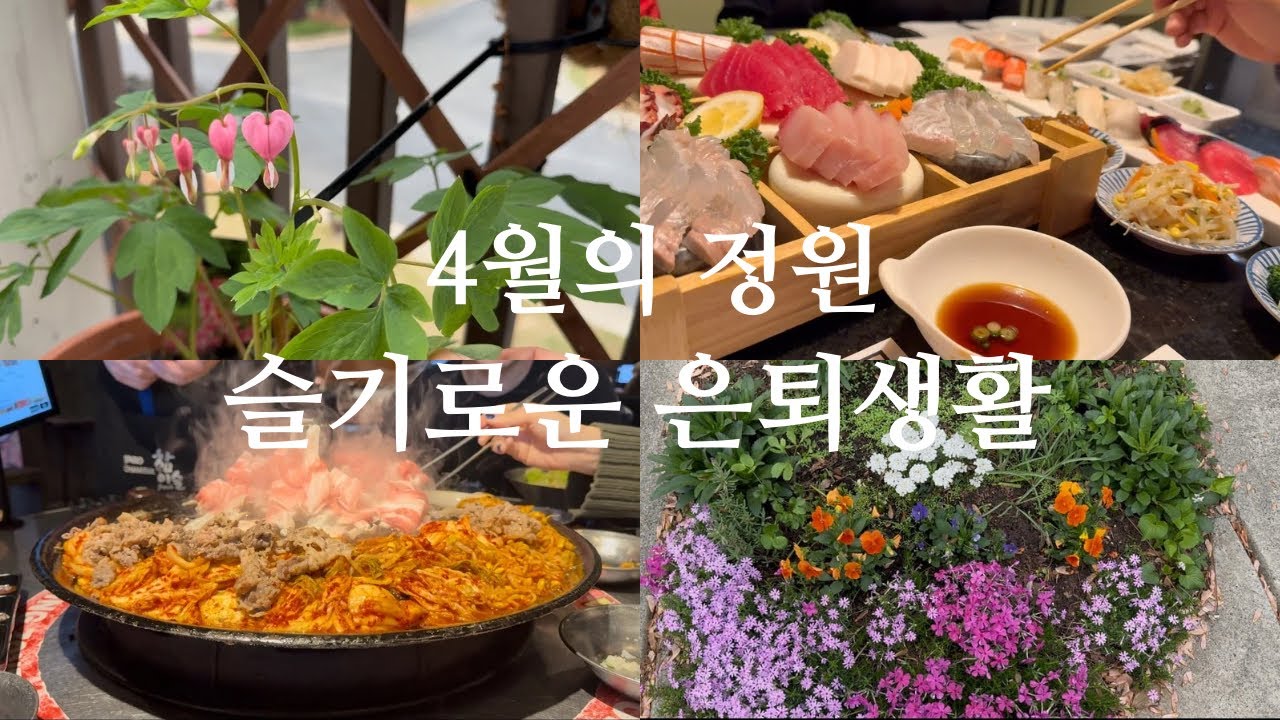 🇺🇸4월 정원의 꽃들 / 은퇴후 살기좋은 아틀란타 맛집 소개/ 일식당 미송/ 삽겹살전문 허니피그/ 무한리필 이규