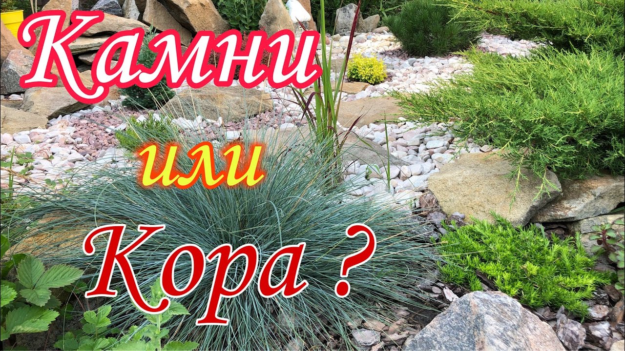КОРА або КАМІННЯ? Мульчування квітників.Переваги та НЕДОЛІКИ. Квітники.Ландшафтний дизайн власноруч.