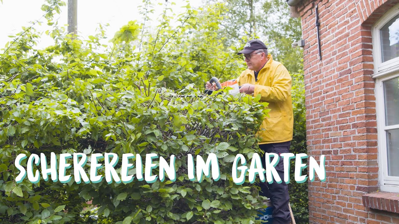 Das Pfarrhaus | Scherereien im Garten