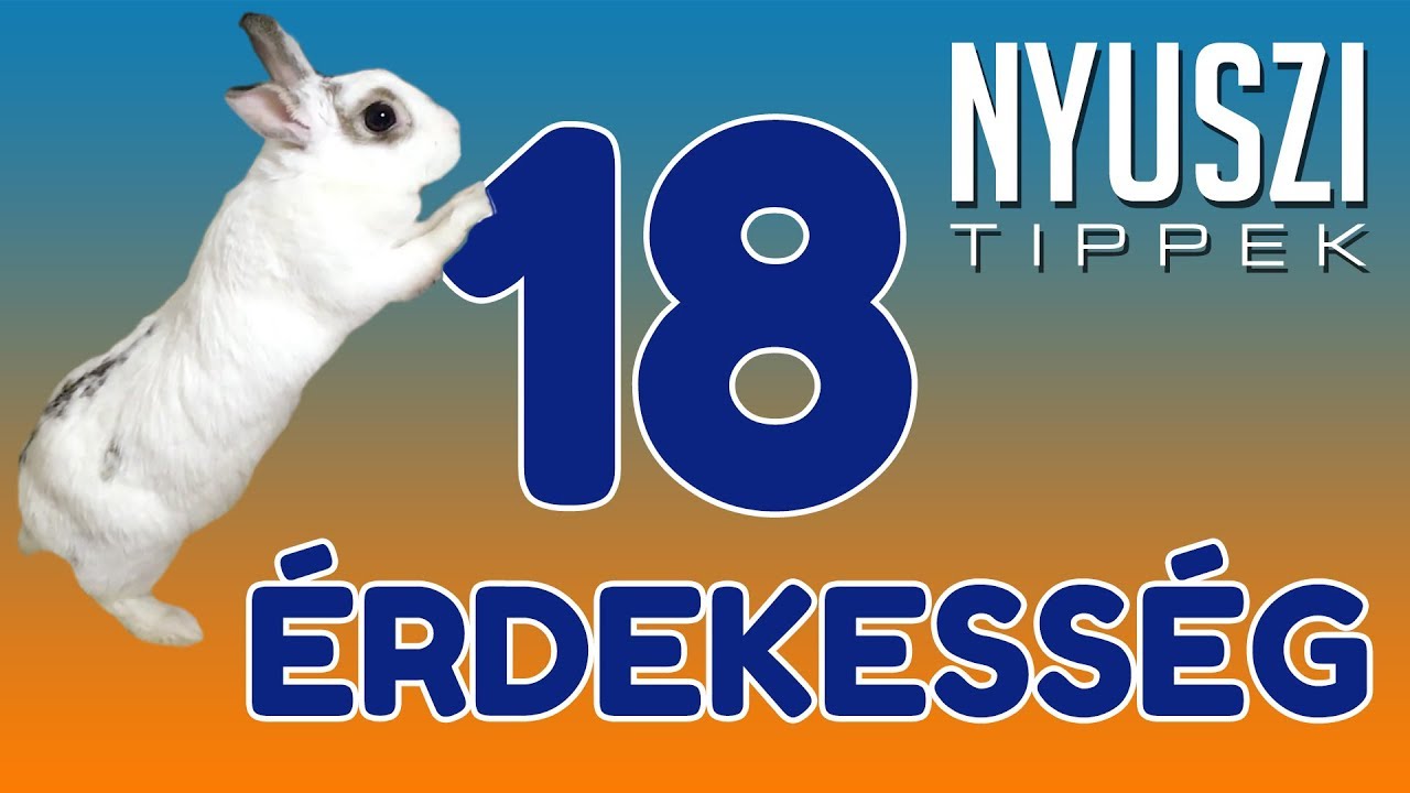 18 ÉRDEKESSÉG A NYUSZIKRÓL | Nyuszi Tippek Különkiadás