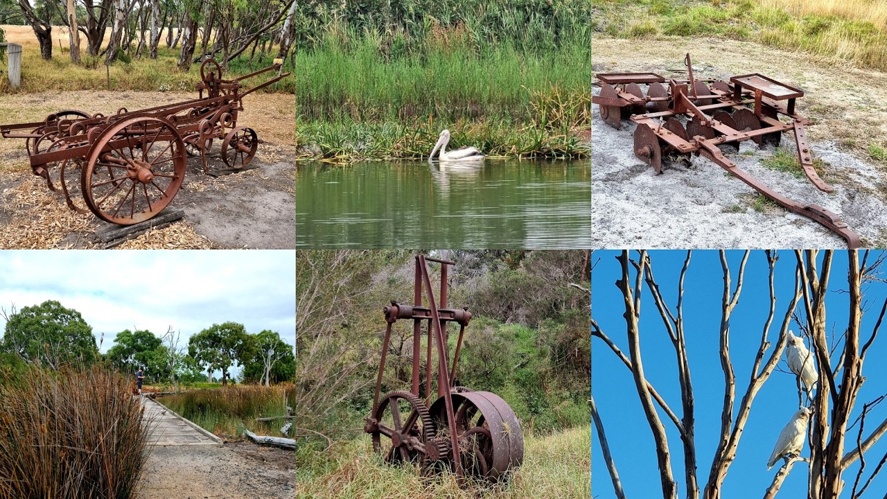 Walking tour around Braeside park, Victoria, Australia. February 2026