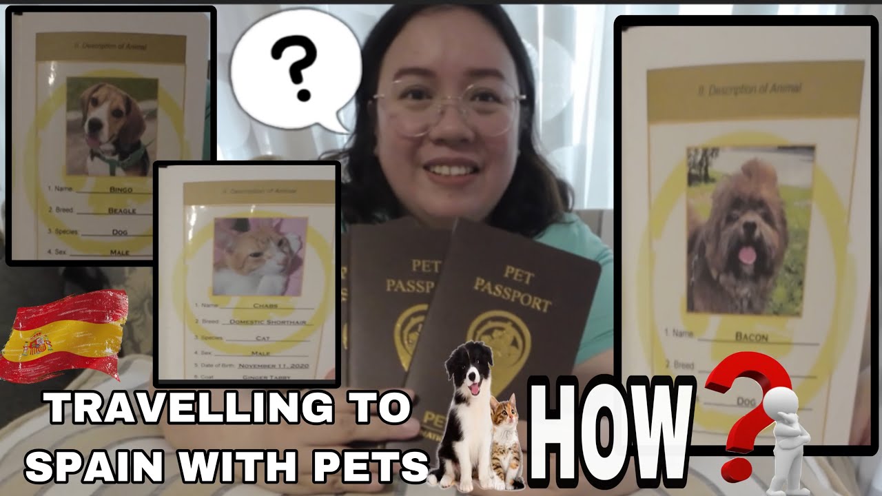HOW TO TRAVEL IN SPAIN WITH PETS FROM PHILIPPINES?? +PET TRAVEL REQUIREMENTS ‼️ |Espanyolang Hilaw