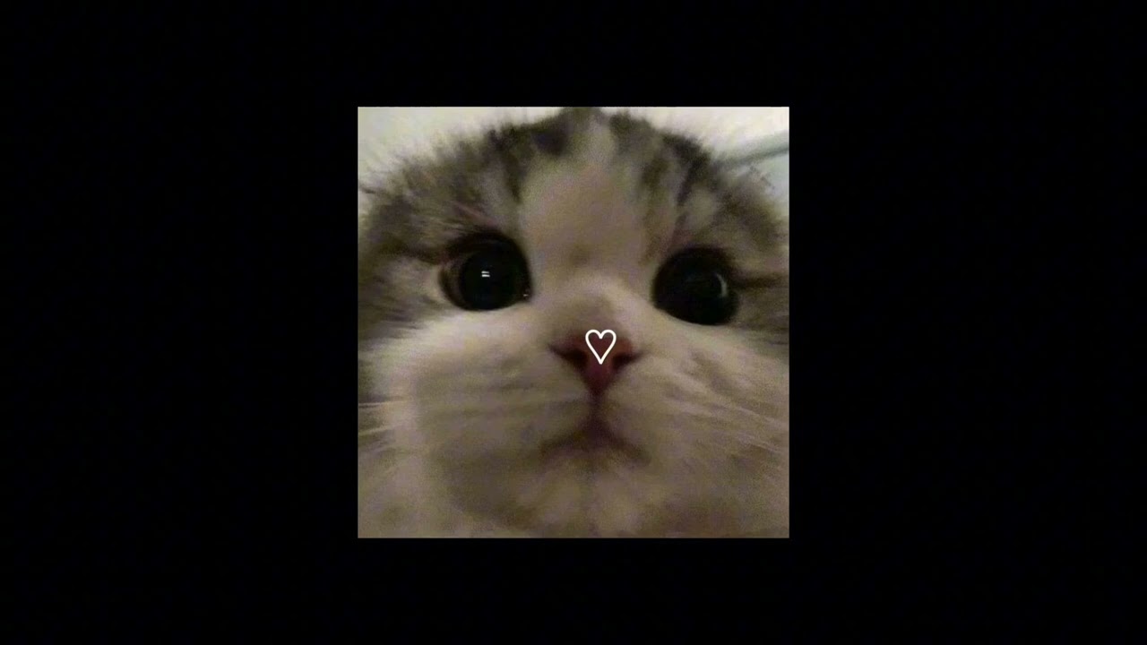 Rose Number one girl Speed Up