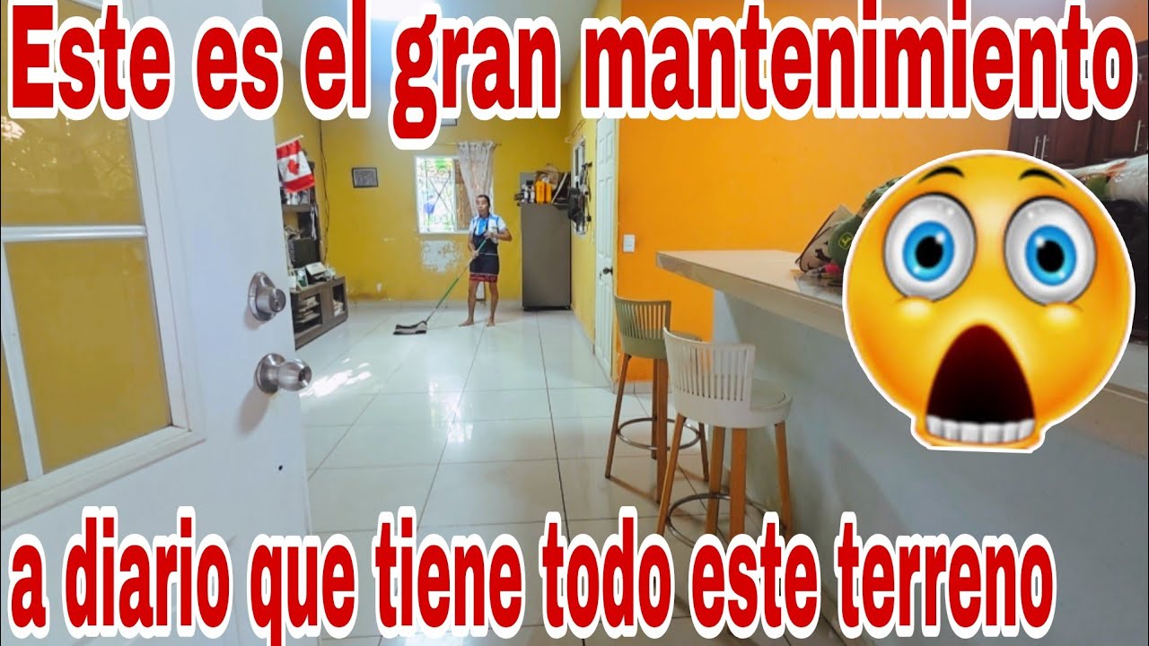 Todo el equipo de trabajo de Dina es excelente en todas las areas😳😱