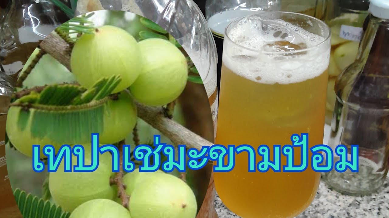 #เทปาเช่มะขามป้อมMakhampom Tepache ep.287