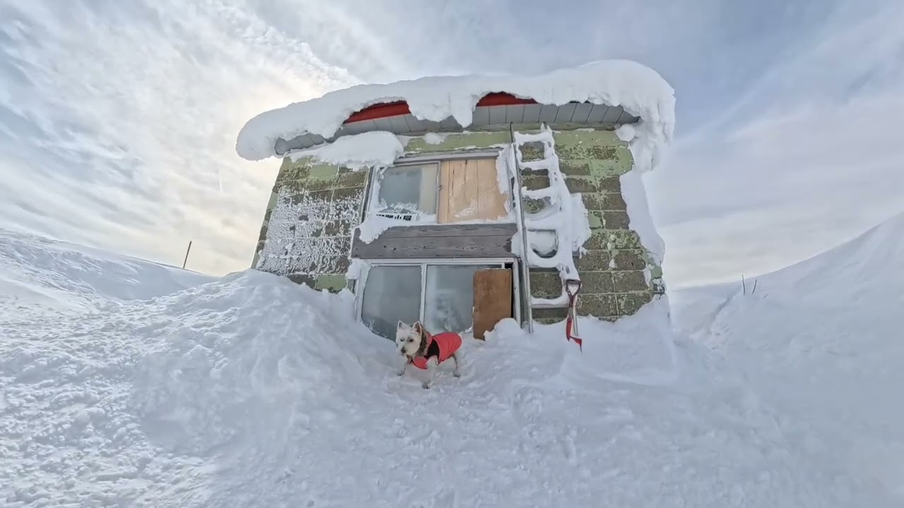 雪にふさがれたコーヒーブレイク