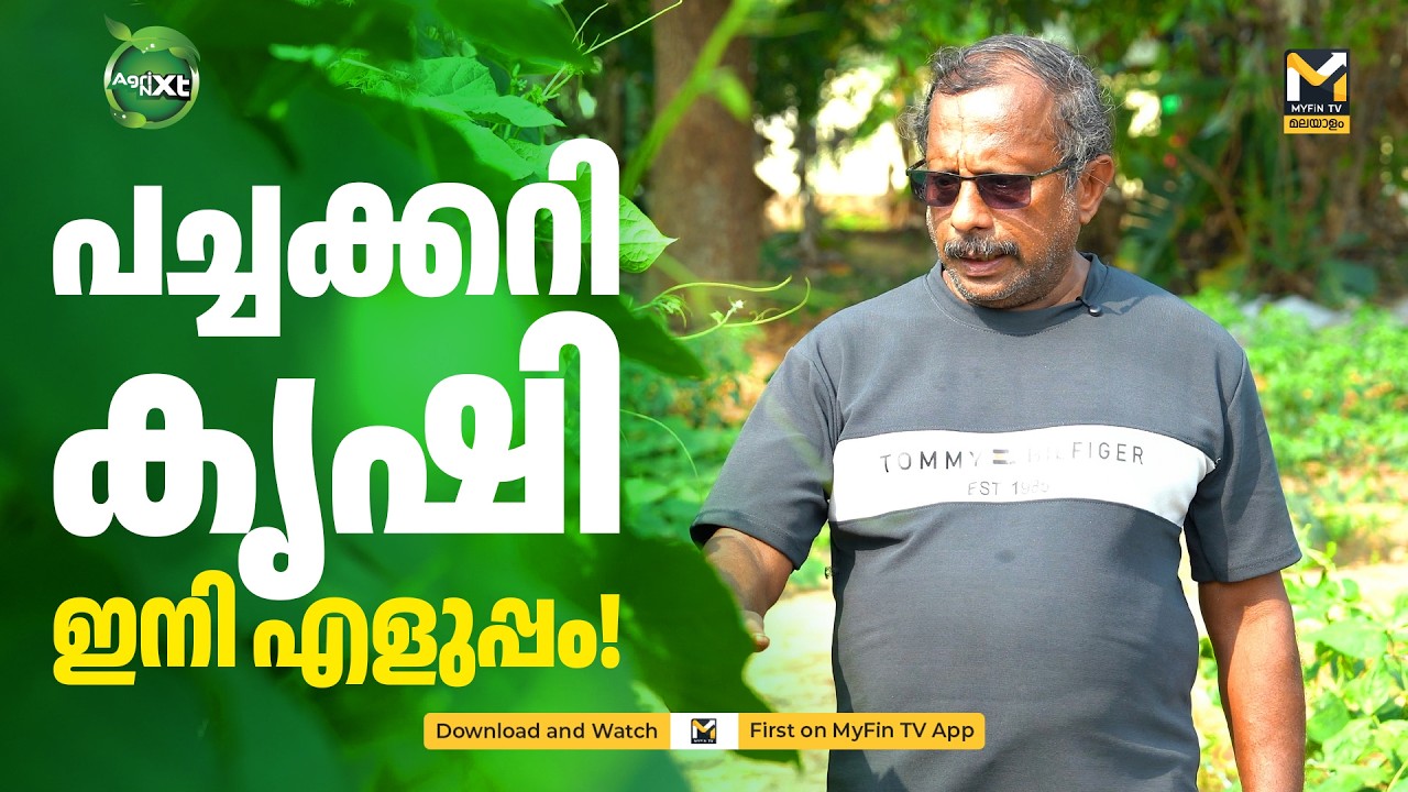 പച്ചക്കറി കൃഷി ഇനി എളുപ്പം! | Agri NXT | MyFin News