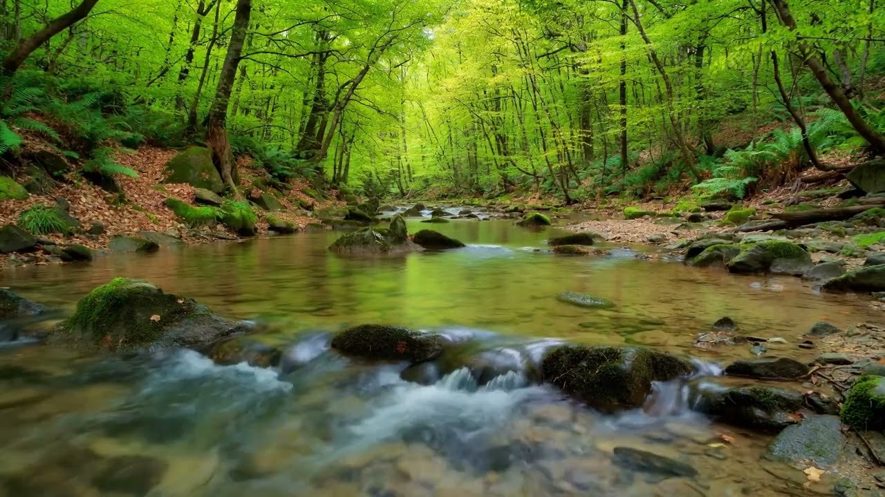 ✨ 8 HOURS of PURE BLISS: Celestial Relaxing Music for Deep Sleep, Study & Stress Relief
