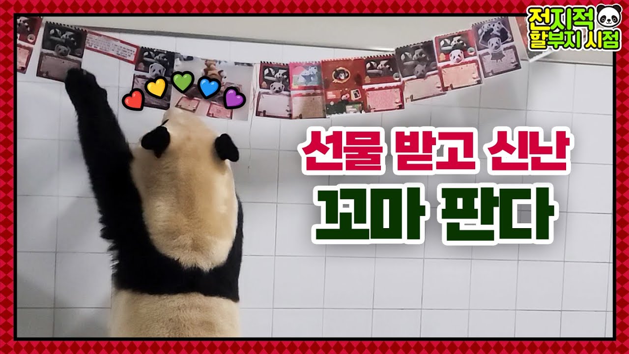 (SUB) Маленькая панда рада получить поздравительную открытку в конце года│Семья Панды🐼