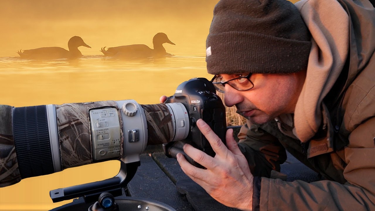 How to Photograph Birds in Mist - Photography Tips at the Lake Edge (With my 'Frypod')