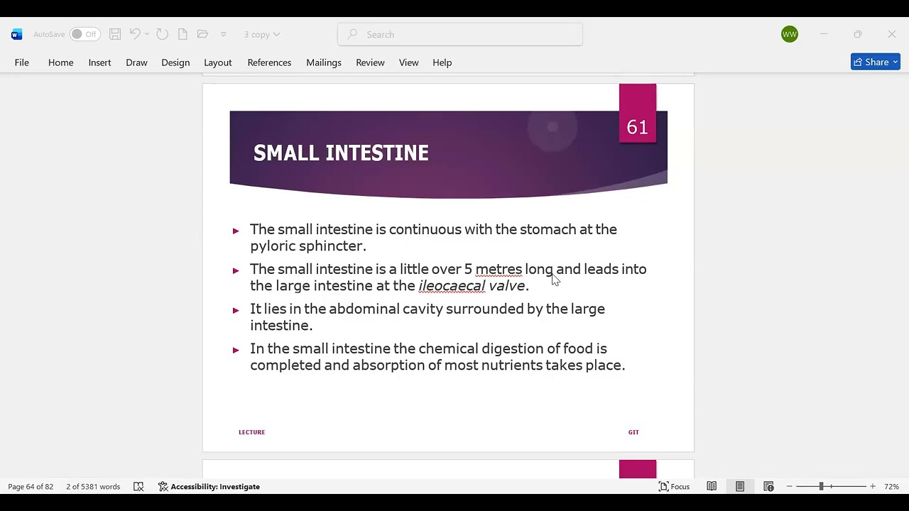 small intestine  | GIT | structure | function | BSN | MLT | DENTAL | RADIOLOGY| LECTURE 9