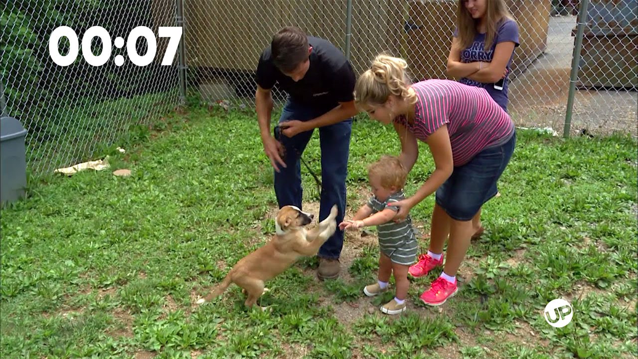 Bringing Up Bates In :19 - Puppies And 3-Pointers