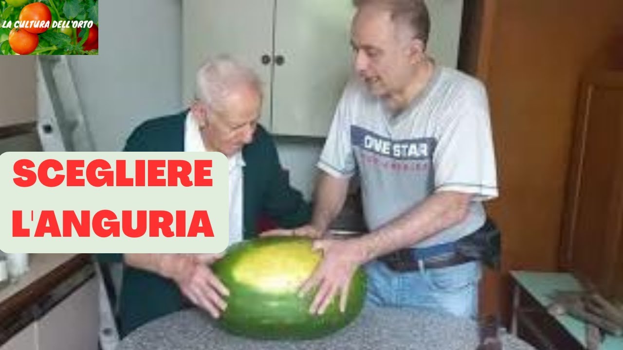 Come scegliere l'anguria. ANGURIA matura e dolce comprata al supermercato.