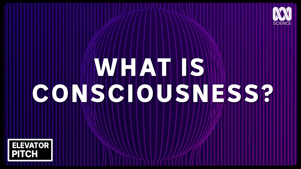 CONSCIOUSNESS — explained in an elevator ride | Elevator Pitch