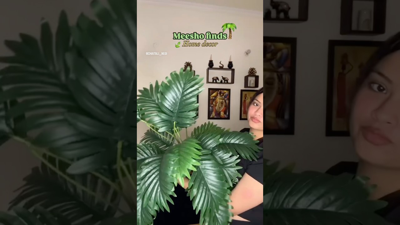 Artificial plant🪴400/- #meesho #meeshohaul #meeshofinds #zudio #homedecor