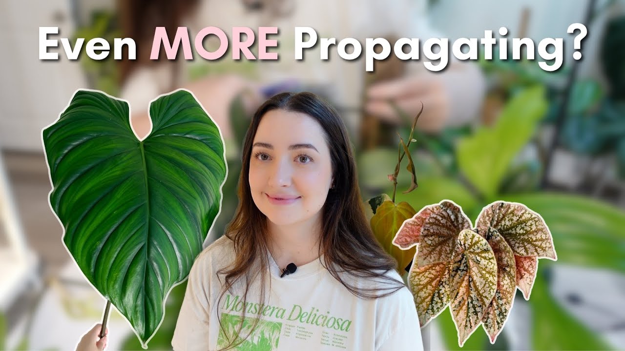 Propagating More Plants & Downsizing a Big Philodendron 🤔✂️