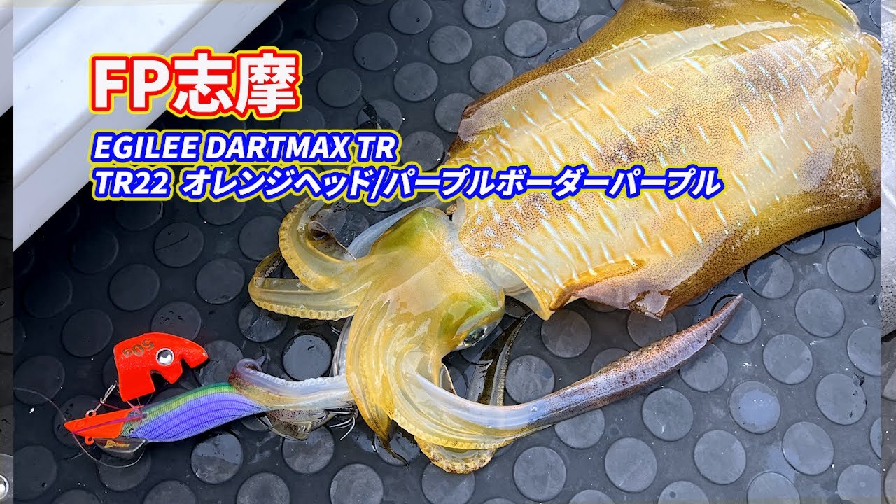 Vol.68【ティップランエギング】志摩沖 FP志摩でダートマックス縛り 新色のカラーは釣れるん？