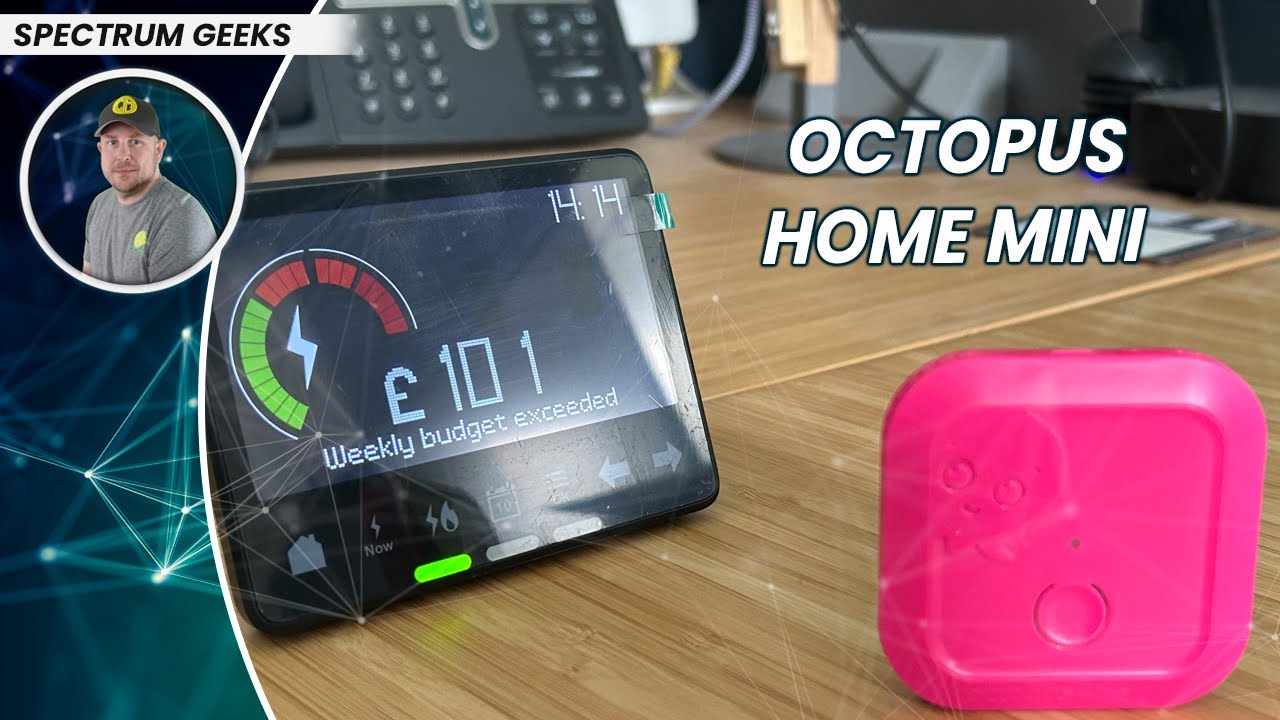 Настройка и преимущества Octopus Home Mini