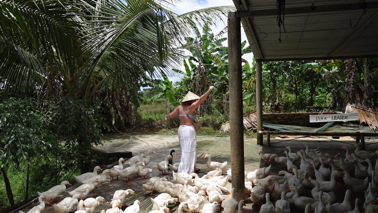 Backpacking Vietnam!! Phong Nha and Ninh Binh Vlog!! The Duck Stop Vietnam!!