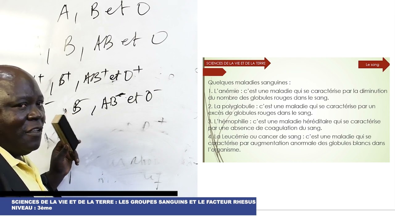 Groupe sanguin et Facteur Rhesus: Cours de SVT 3e