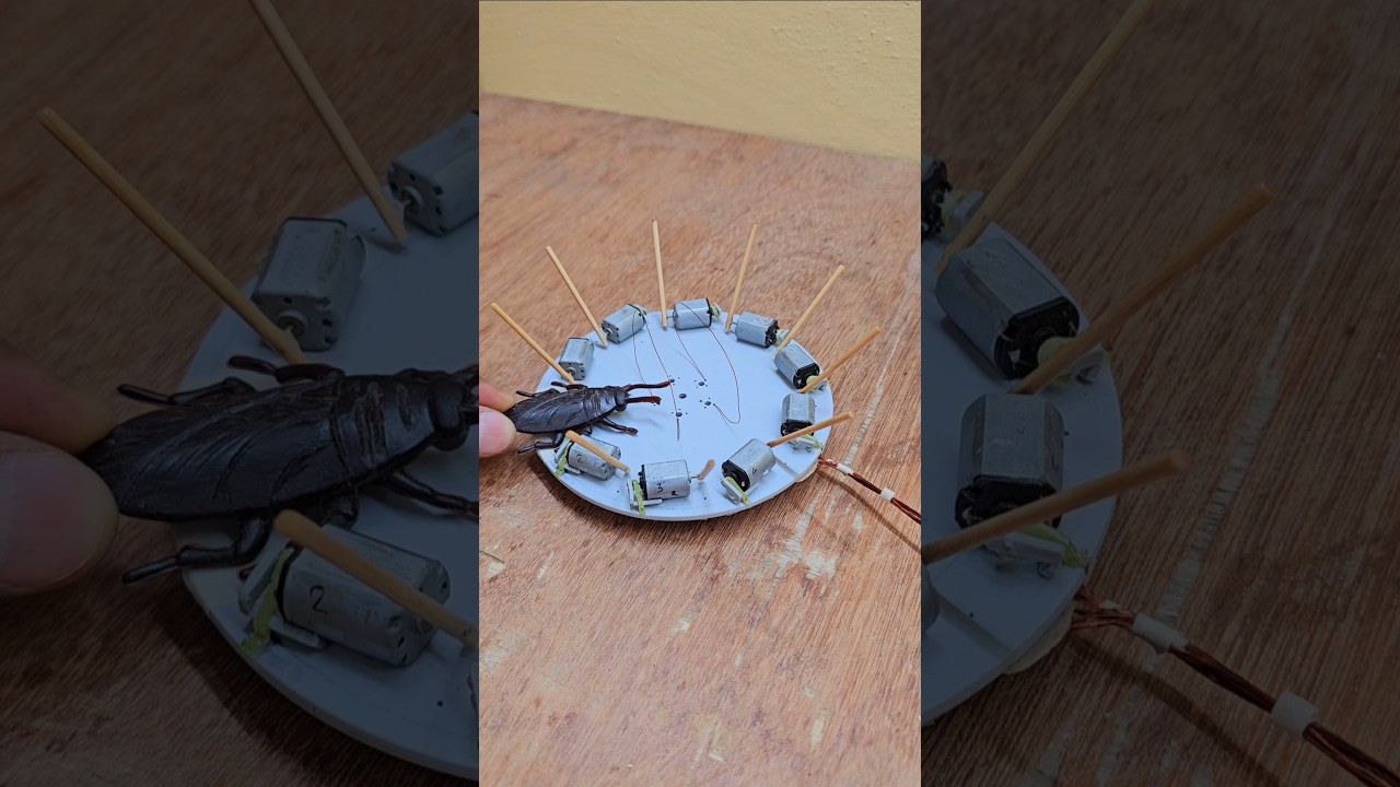 Cockroach trap with 10 sticks dc motor trap viral #trap #engineering #electronics #viralvideo #funny