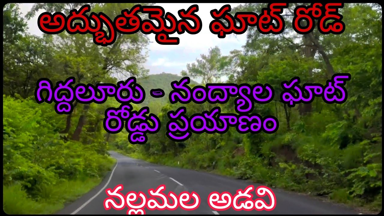 #giddalur to #nandyal #ghat #roadtrip #గిద్దలూరు - నంద్యాల ఘాట్ రోడ్డు ప్రయాణం