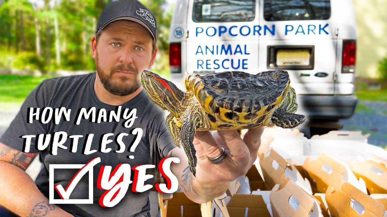 SHOCKING TORTOISE & TURTLE RESCUE @Garden State Tortoise