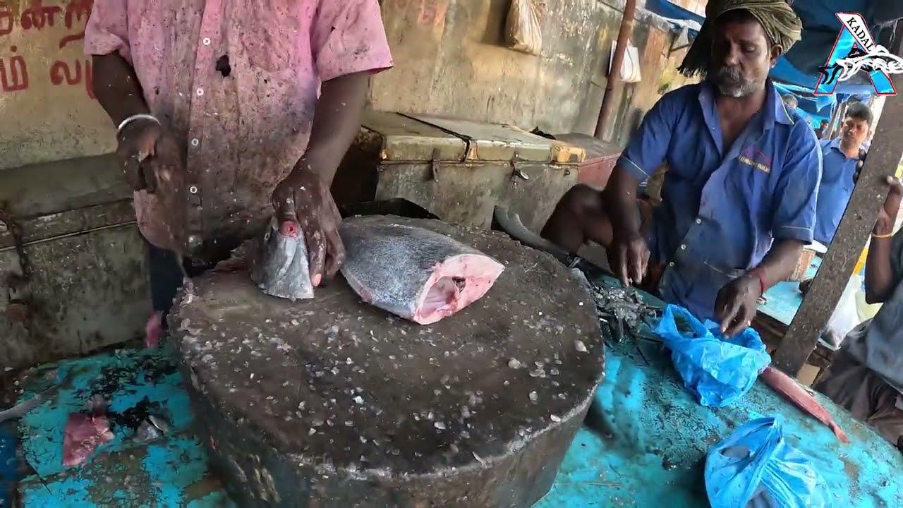 “Traditional Fisherman Cutting Fresh Tuna” | “Big Tuna Fish Cutting by Fisherman” | #KadalTV