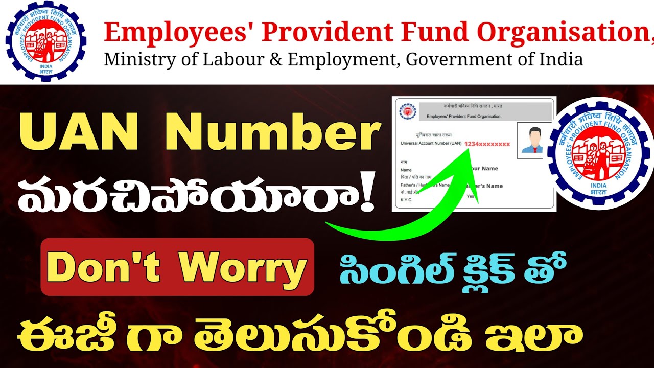 How to Know UAN Number Online 2025 | 3 Easy Steps to Recover Your PF UAN Number