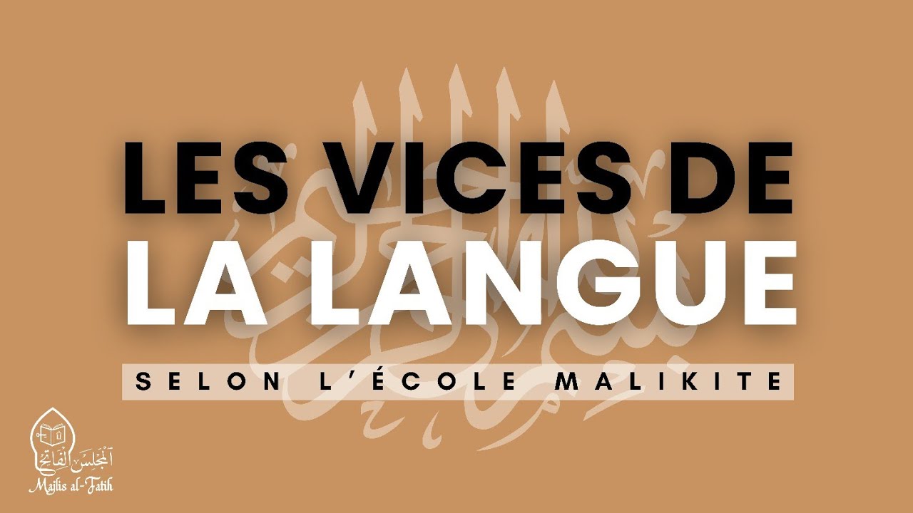 Vices de la langue : Séance 1 (Introduction)