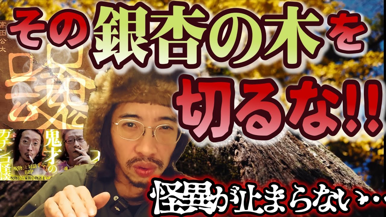 【その木を切るな】樹齢●●年の銀杏の木を切った男たちの末路が恐ろしすぎた…【銀杏の木】【怪談】【祟り】【呪い】【呪念魂】