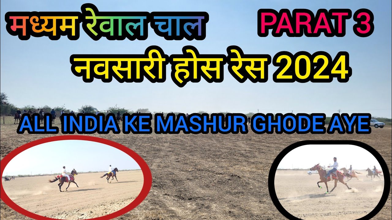 छोटी रेवाल चाल  HORSE RES NAVSARI WS7 STUD FARM  MADHEYAM REWAL CHAL #horseriding
