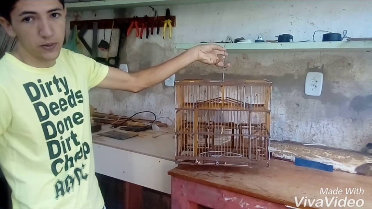Gaiola de 12 alcapão para coleiras