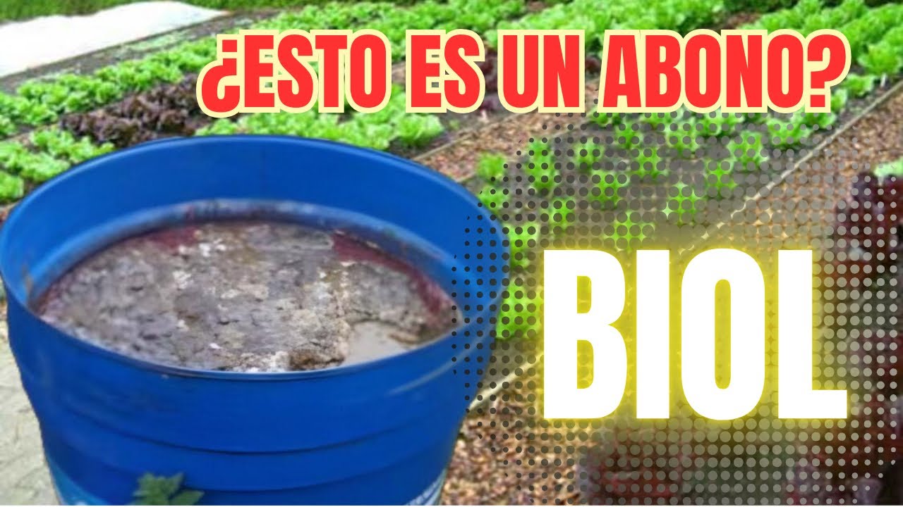 ¿BIOL Funciona como Abono Orgánico Líquido? ¡Descúbrelo!