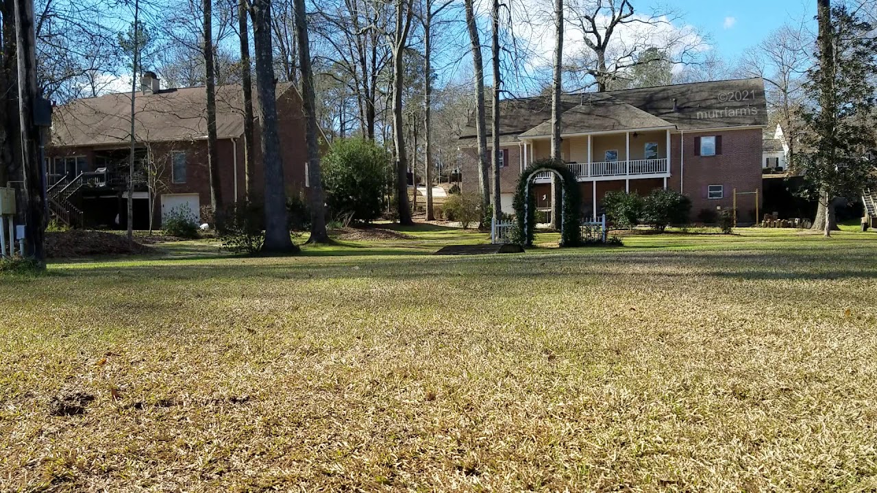 Whelen WPS-2909 siren ambiance | Houston County, GA | 1/16/2021