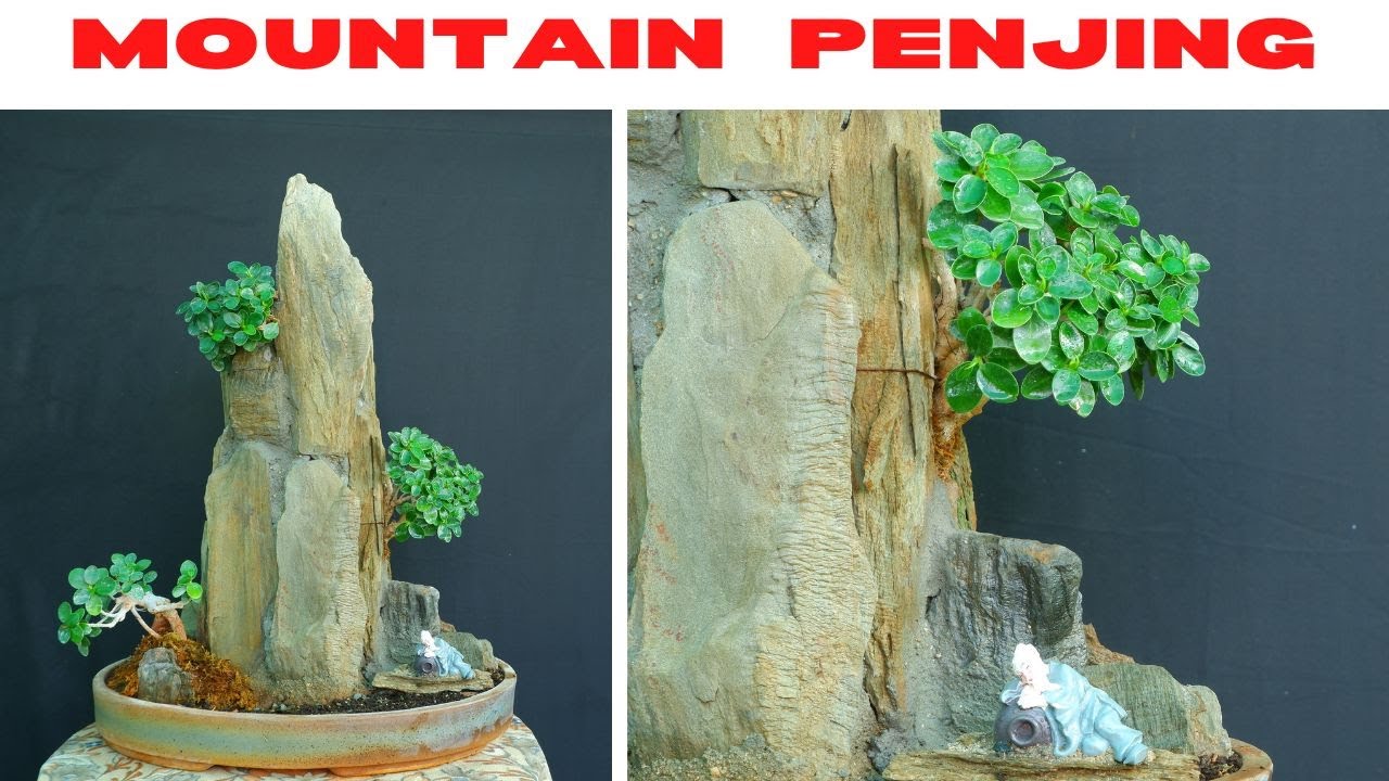 Bonsai/ Mountain Penjing