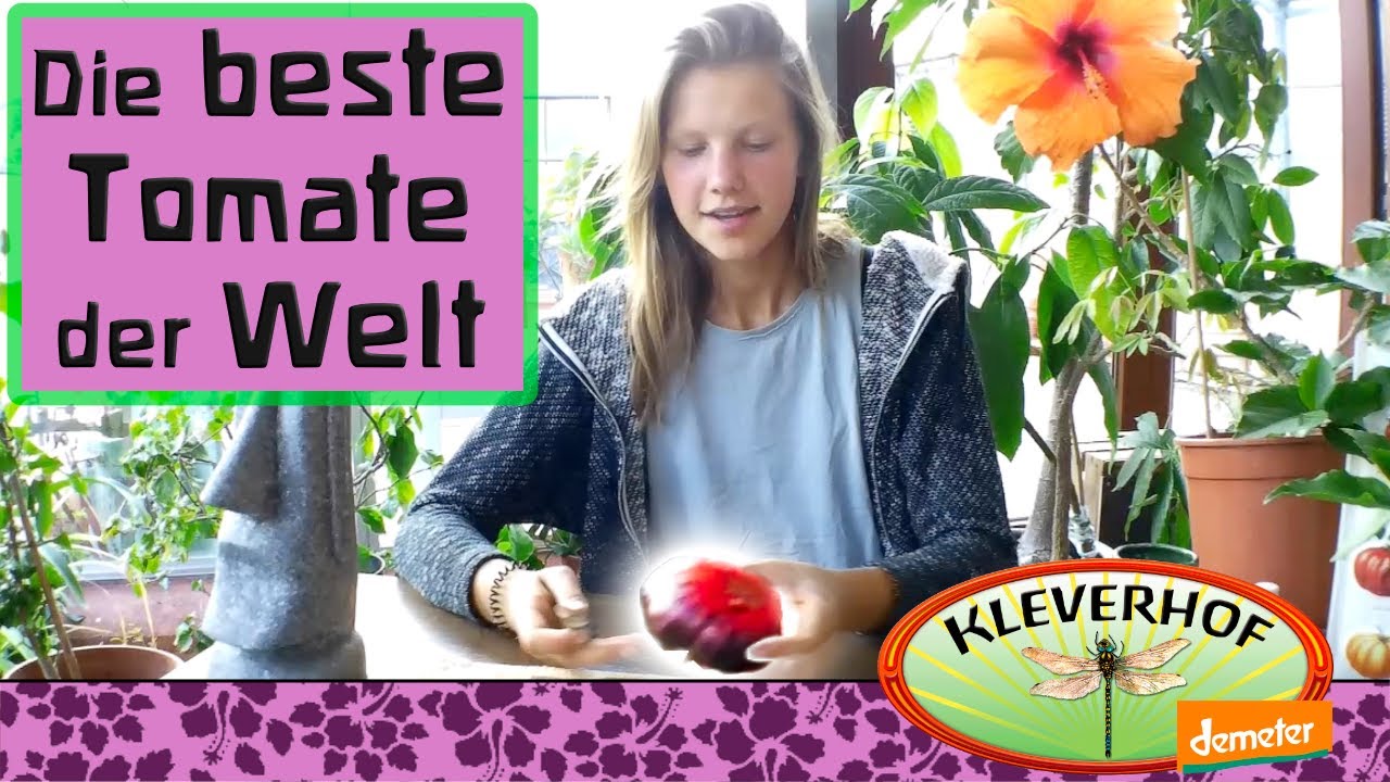 Die beste Tomate der Welt