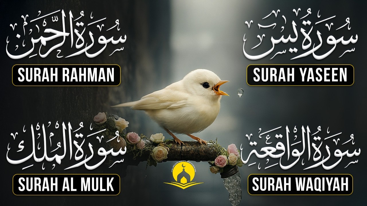 Surah Yasin | Surah Rahman | Surah Waqia | Surah Mulk | Full HD | Quran Hour | Alaa Aqel