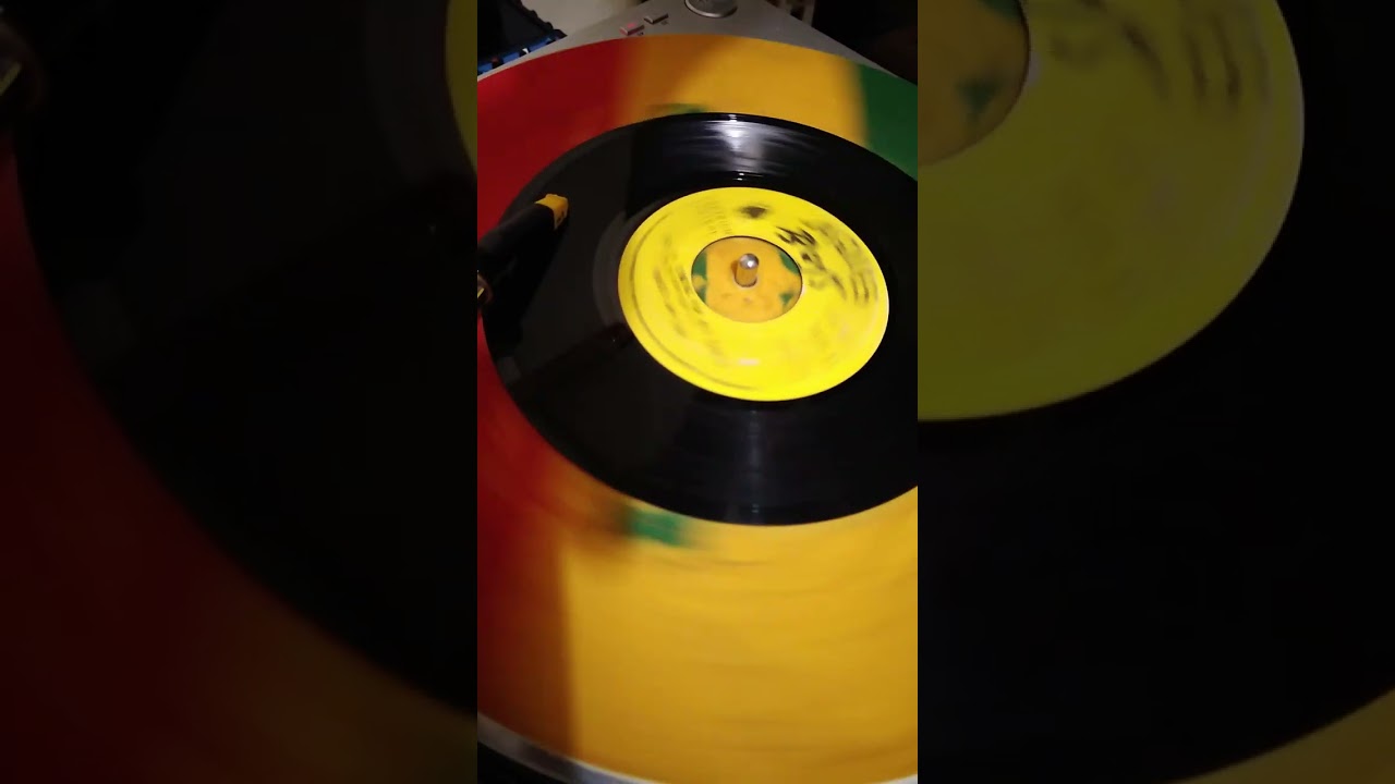 David Jah Son - Jah Is Coming For His Earth